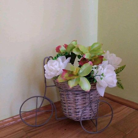 Apartment Petra Mrkopalj Εξωτερικό φωτογραφία